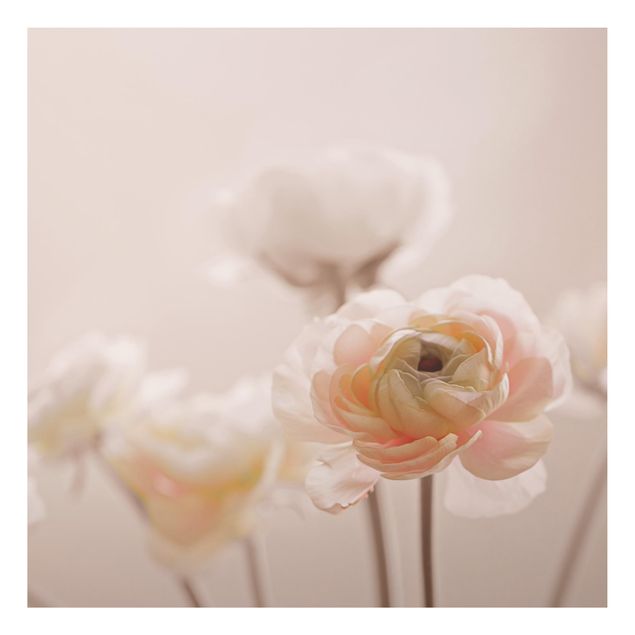 Tableaux modernes Délicat bouquet de fleurs rose pâle