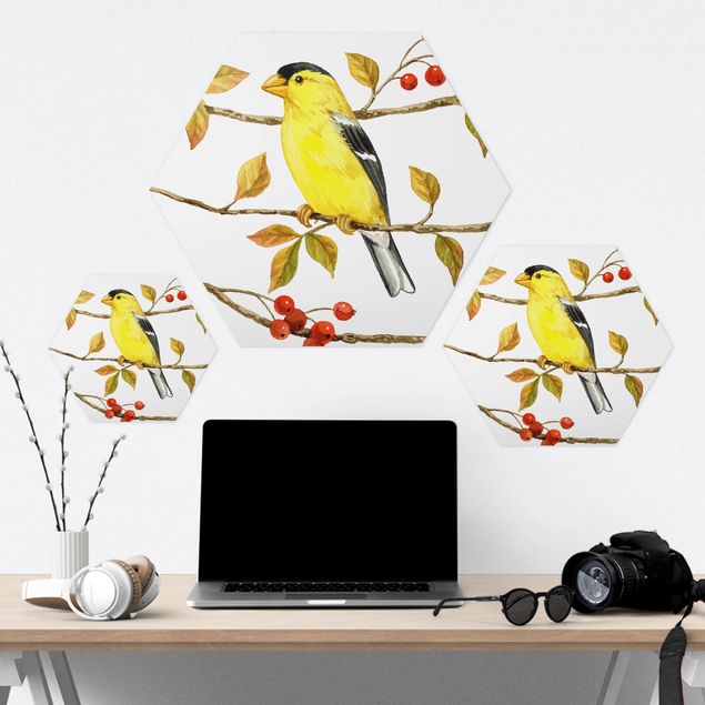 Hexagone en forex - Birds And Berries - American Goldfinch