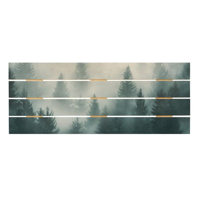 Tableaux en bois Forêt de conifères dans le brouillard