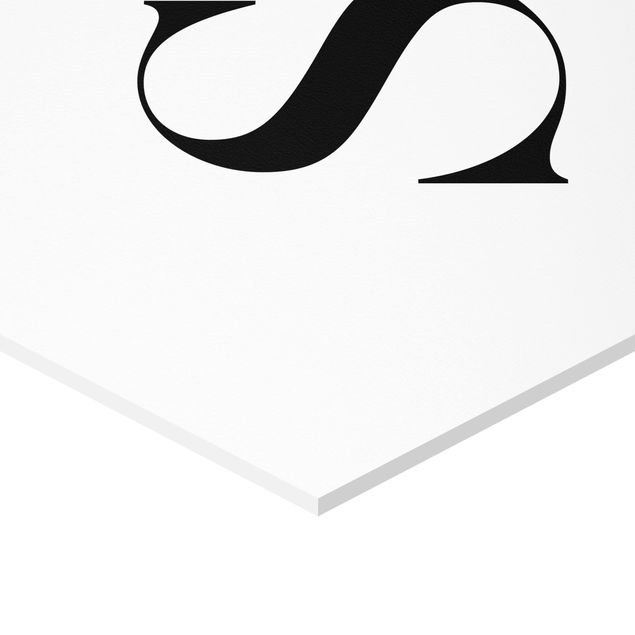 Hexagone en forex - Letter Serif White S