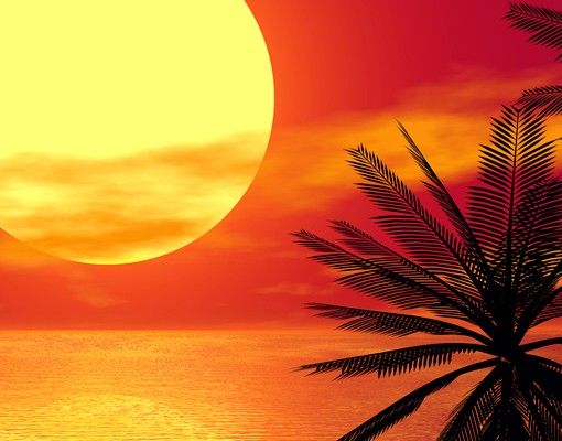 Films autocollants Coucher de soleil des Caraïbes