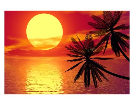 Films adhésifs Coucher de soleil des Caraïbes