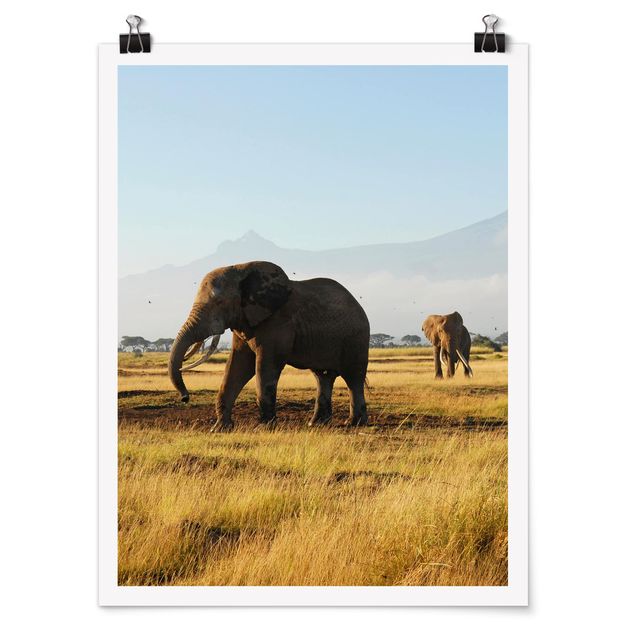 Tableau montagne Eléphants devant le Kilimandjaro au Kenya