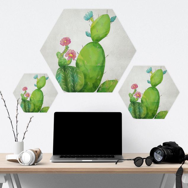 Hexagone en forex - Cactus Family In Pink And Turquoise