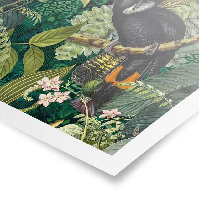 Tableau animaux Collage coloré - Cacatoès dans la jungle