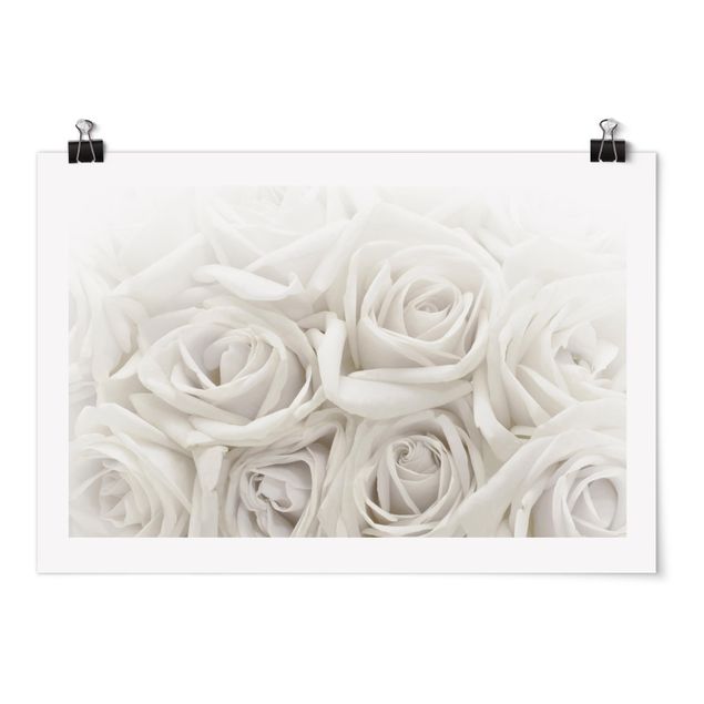 Tableau amour White Roses