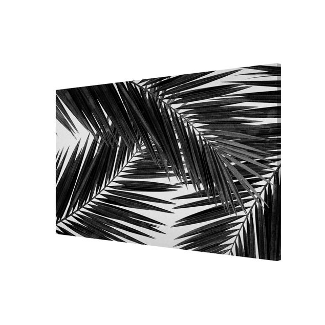Tableaux magnétiques avec fleurs View Over Palm Leaves Black And White