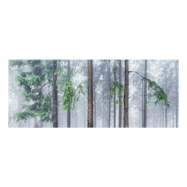 Fonds de hotte - Conifers In Winter - Panorama 5:2