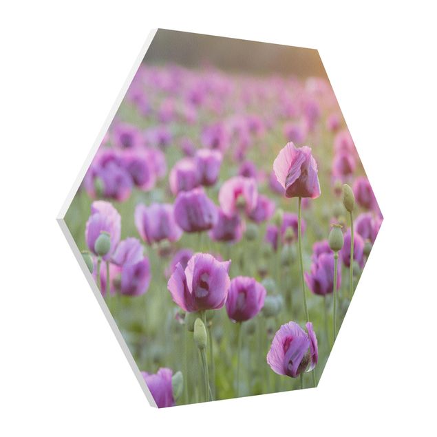 tableaux floraux Prairie de coquelicots violets au printemps