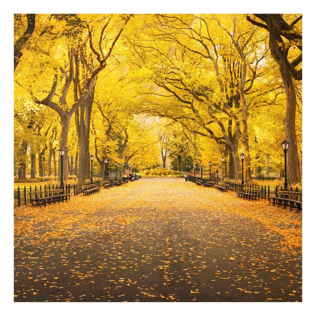 Fonds de hotte - Autumn In Central Park - Carré 1:1