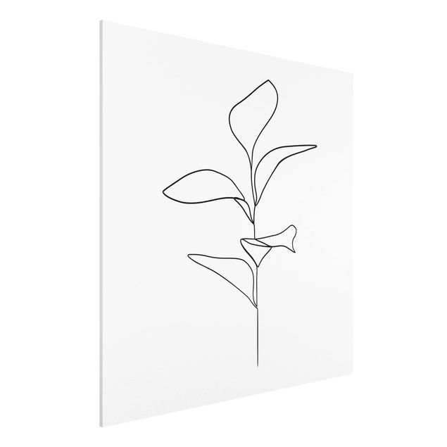 Décoration artistique Line Art Feuilles de plantes Noir et Blanc