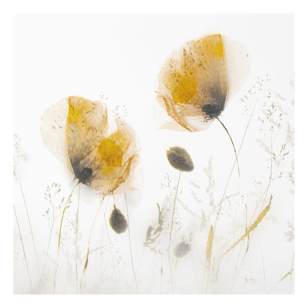 Fonds de hotte - Poppy Flowers And Delicate Grasses In Soft Fog  - Carré 1:1
