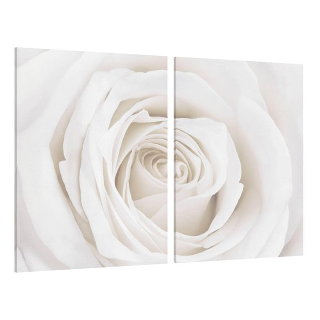 Tableaux fleurs Jolie Rose Blanche