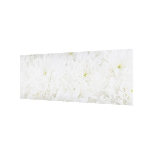 Fond de hotte - Dahlias Sea Of Flowers White
