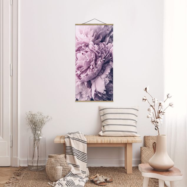 Tableaux fleurs Fleurs de pivoines violettes