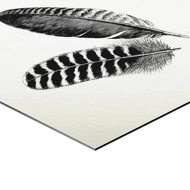 Hexagone en alu Dibond - Two Feathers - Drawing