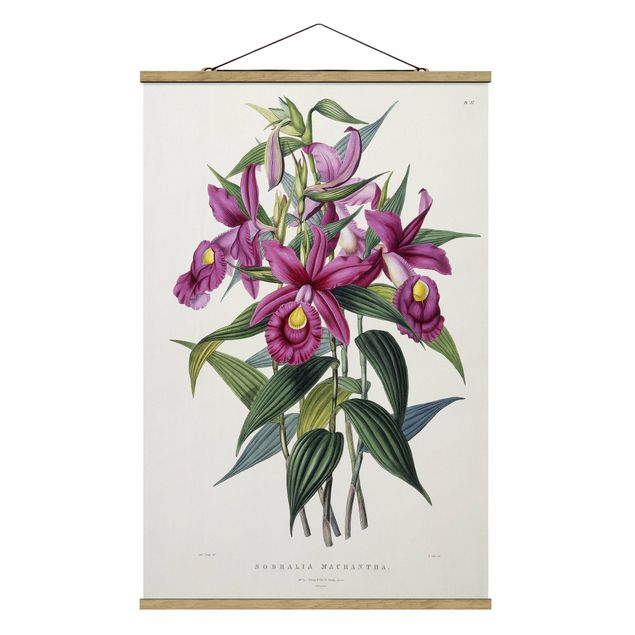 Tableaux fleurs Maxim Gauci - Orchidée I
