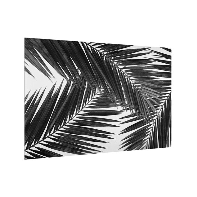 Fonds de hotte View Over Palm Leaves Black And White