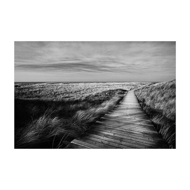 tapis blanc et noir Dune Path On Sylt II