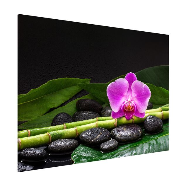 Déco mur cuisine Bambou vert avec fleur d'orchidée