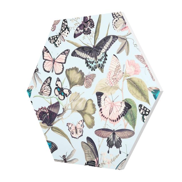 Tableau forex Collage Vintage - Papillons et Libellules