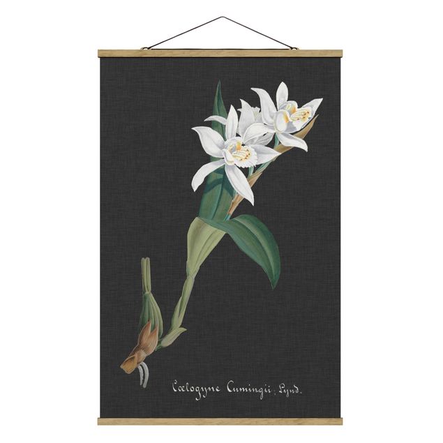 Tableau vintage Orchidée blanche sur lin II