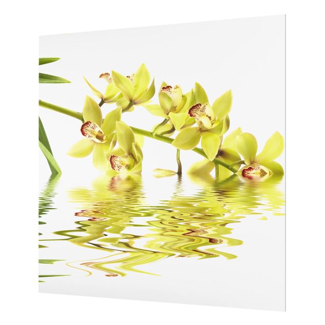 Fond de hotte - Elegant Orchid Waters