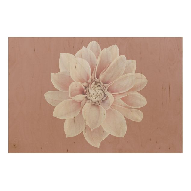 Tableaux en bois avec fleurs Dahlia Beige Rouge Rose