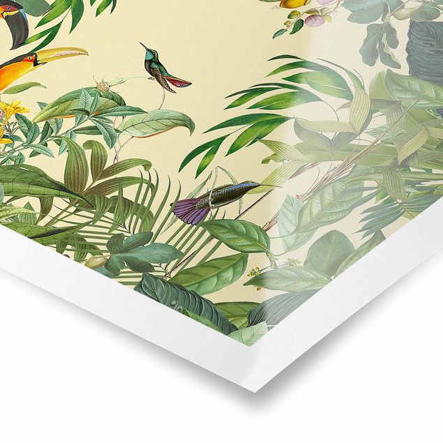 Tableau multicolore Collage Vintage - Oiseaux dans la jungle