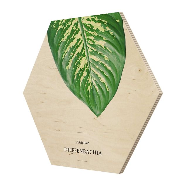 Hexagone en bois - Tropical Leaf Dieffenbachia