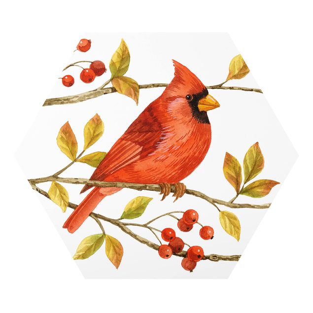 Forex tableau Oiseaux et baies - Cardinal du Nord