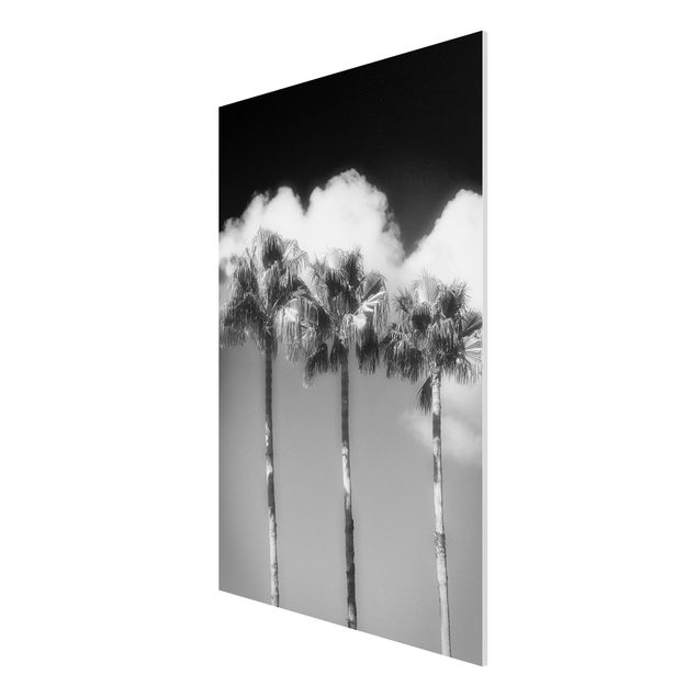 Tableaux modernes Palmiers Contre Le Ciel Noir Et Blanc