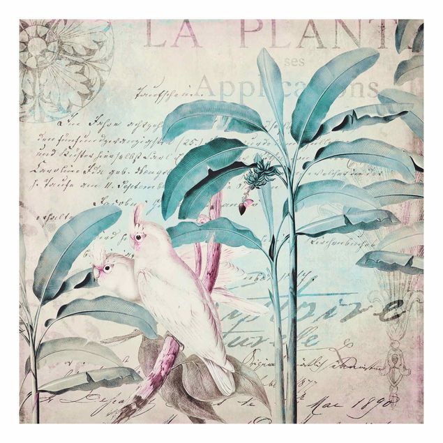 tableaux floraux Colonial Style Collage - Cacatoès et Palmiers