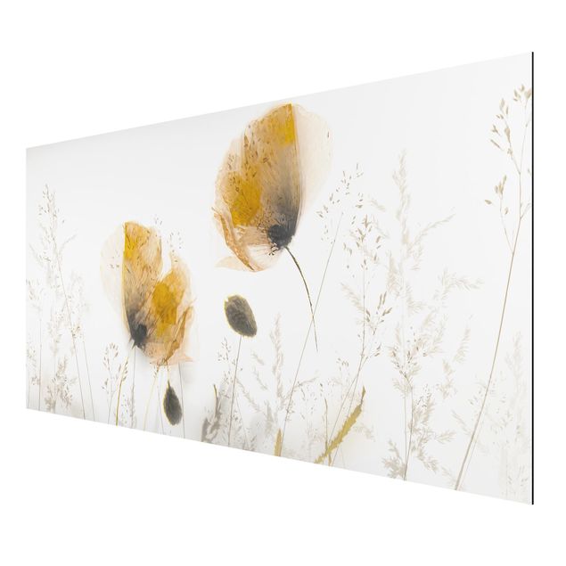 Tableaux modernes Fleurs de pavot et herbes délicates dans un doux brouillard