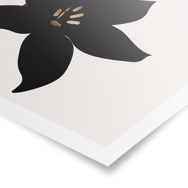 Posters en noir et blanc Monde végétal graphique - Orchidée noire et or