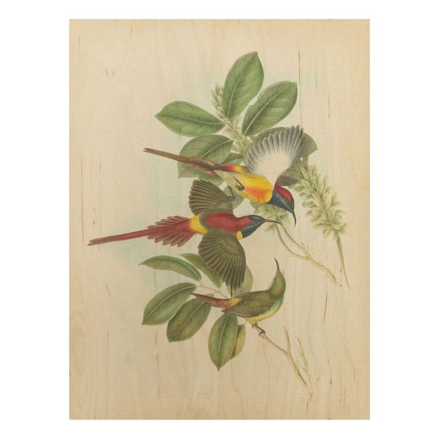 Tableaux en bois avec fleurs Illustration Vintage Oiseaux Tropicaux III