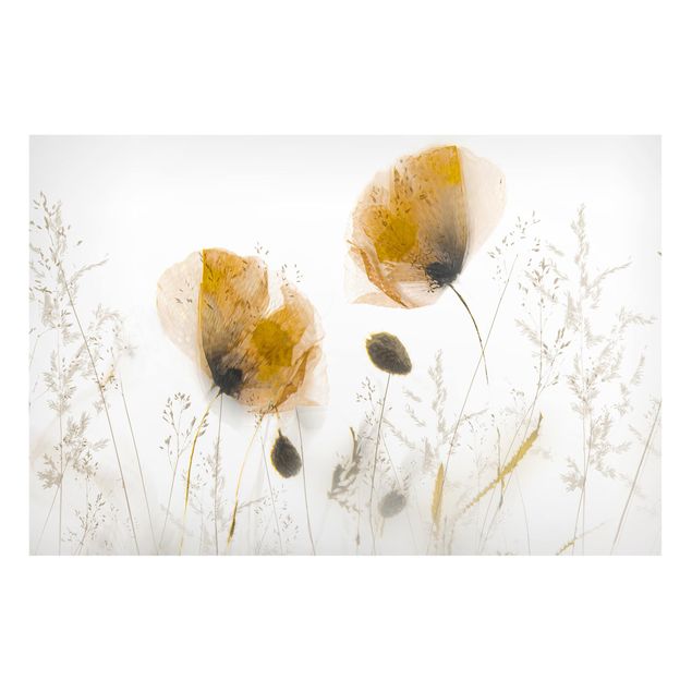 Tableau coquelicot Fleurs de pavot et herbes délicates dans un doux brouillard