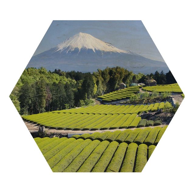 Hexagone en bois - Tea Fields In Front Of The Fuji