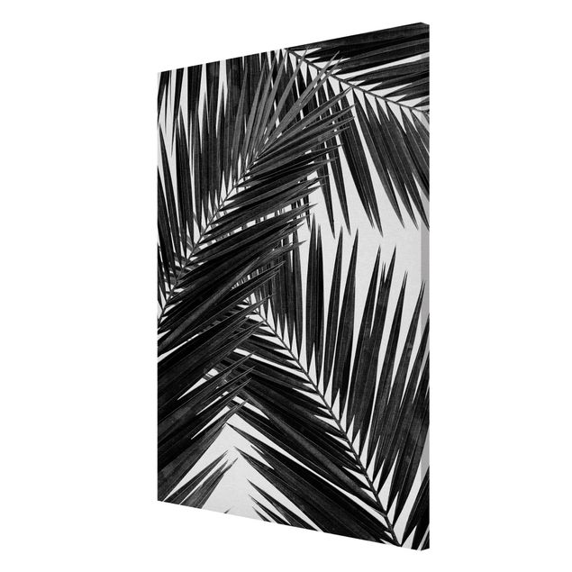 Tableaux magnétiques avec fleurs Vue sur des feuilles de palmier noir et blanc