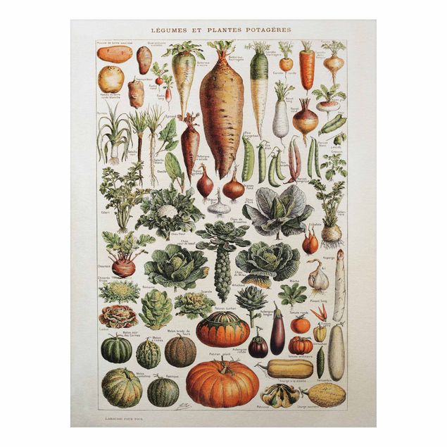 tableaux floraux Tableau Vintage Légumes