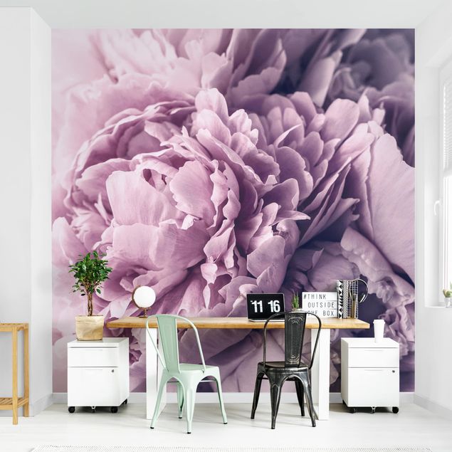 Papiers peints modernes Fleurs de pivoines violettes