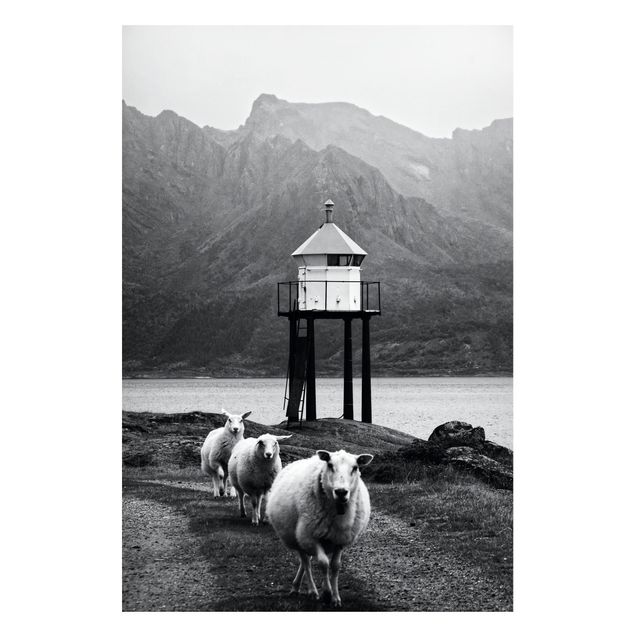 Tableaux modernes Trois moutons sur les Lofoten