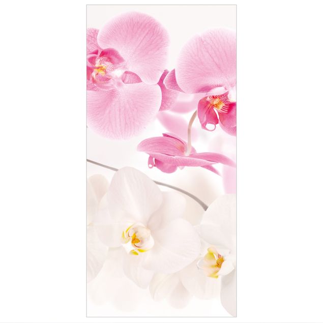 Panneau de séparation - Delicate Orchids