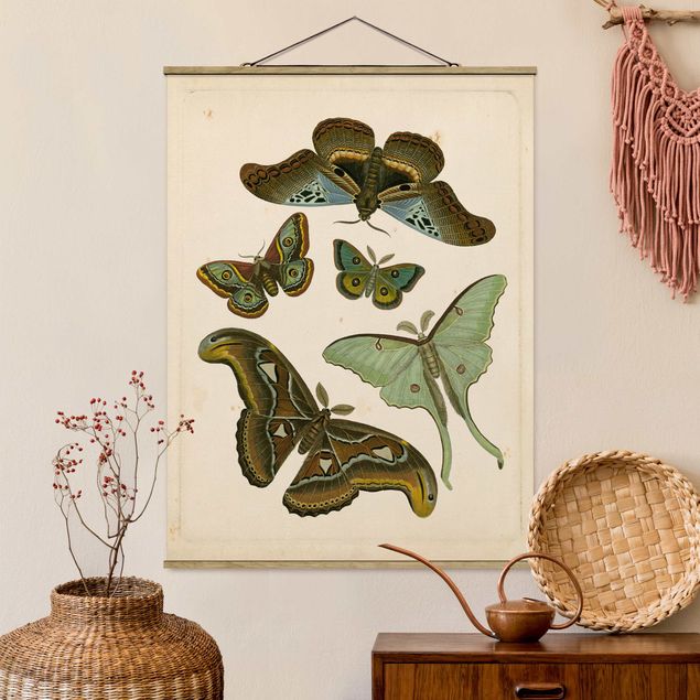Déco mur cuisine Illustration vintage Papillons Exotiques II