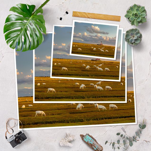 Tableaux de Rainer Mirau Phare de la mer du Nord avec un troupeau de moutons