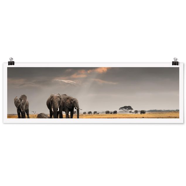 Tableaux modernes Eléphants dans la savane