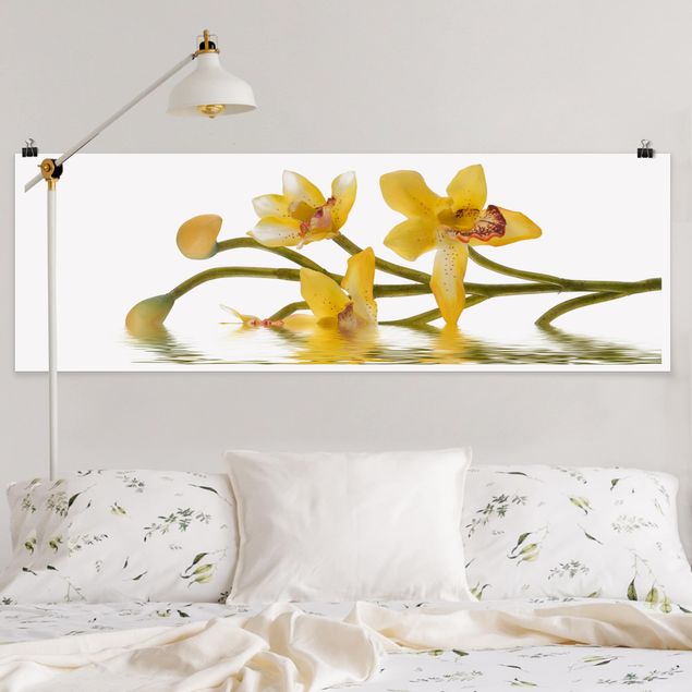 Déco murale cuisine Eaux d'orchidées safranées