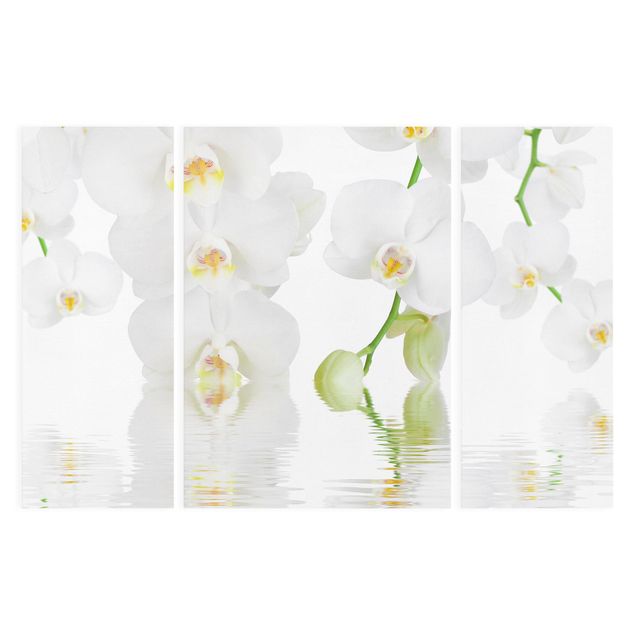 tableaux floraux Spa Orchid - Orchidée blanche