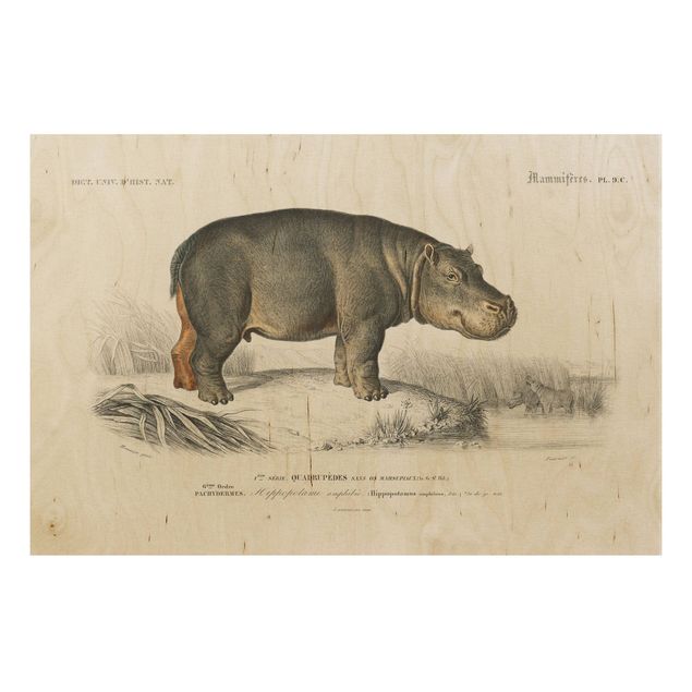 Tableaux en bois avec paysage Tableau Vintage hippopotame