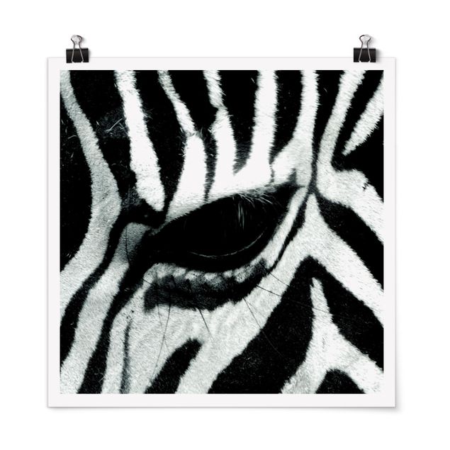Posters en noir et blanc Zebra Crossing
